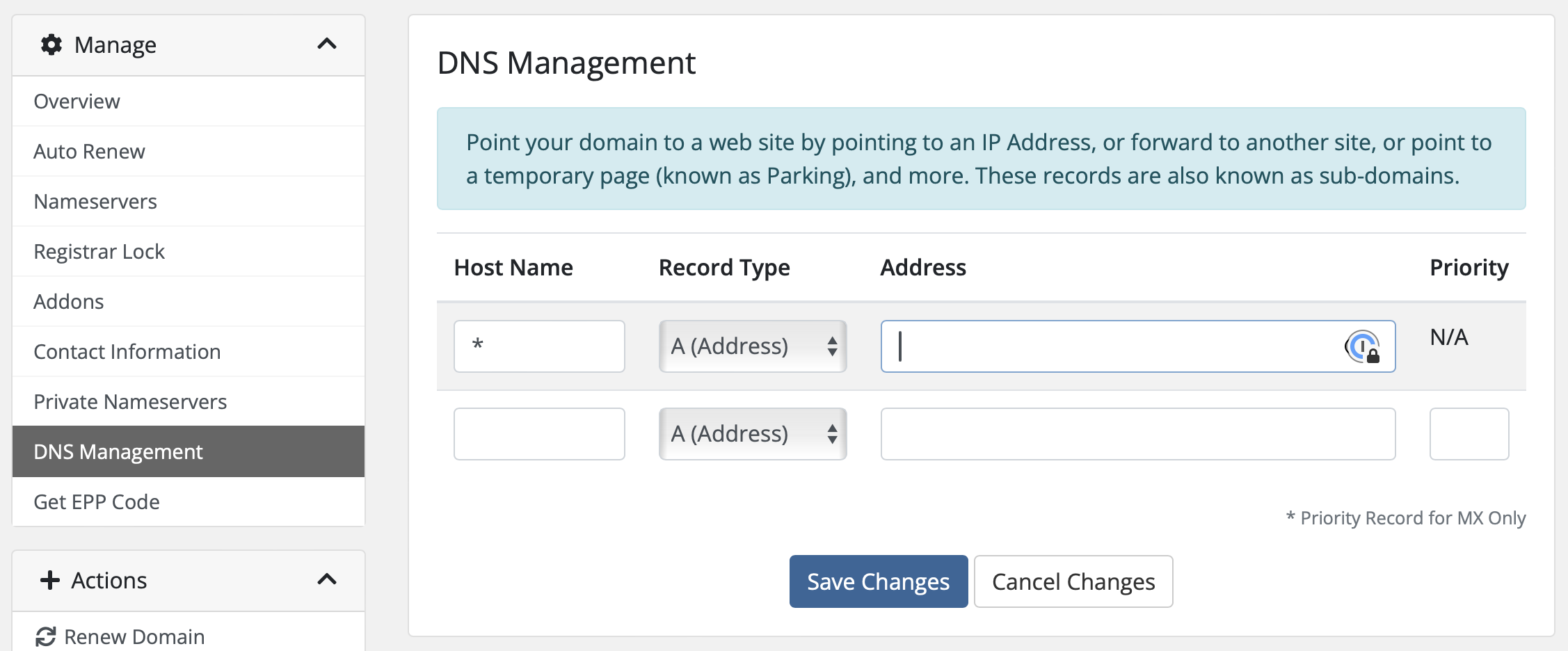 Client Area showing the DNS management screen